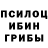 Псилоцибиновые грибы мицелий _Linyx_ Flow_