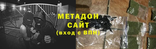 прущие грибы Каменногорск