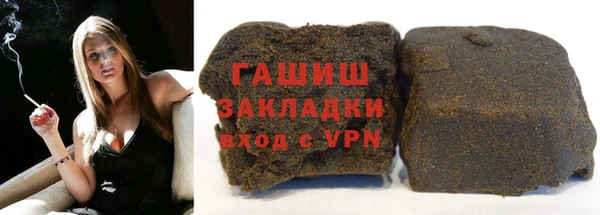 прущие грибы Каменногорск