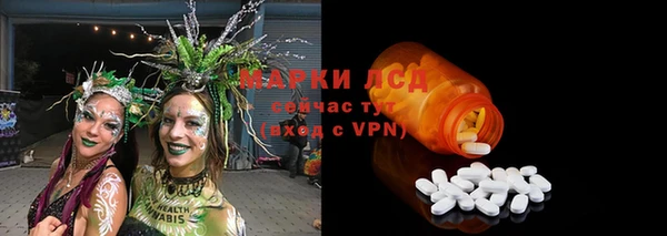 прущие грибы Каменногорск
