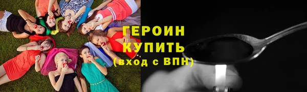 прущие грибы Каменногорск