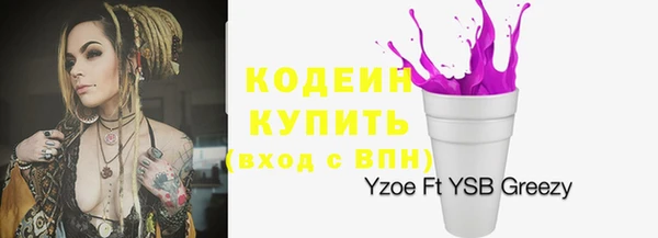 прущие грибы Каменногорск