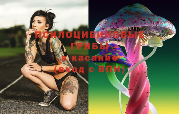 mdma Каменка
