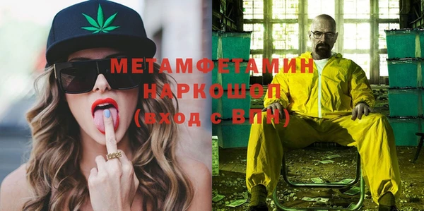 прущие грибы Каменногорск