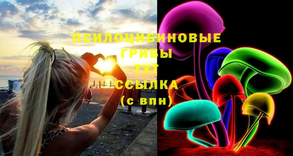 прущие грибы Каменногорск