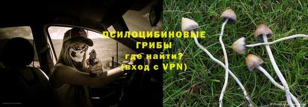 mdma Каменка