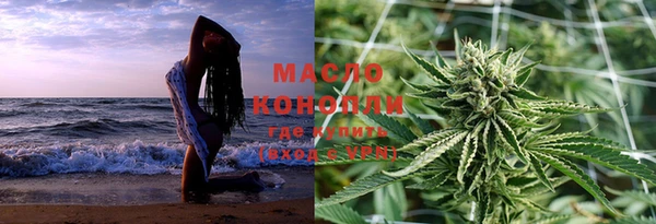 прущие грибы Каменногорск