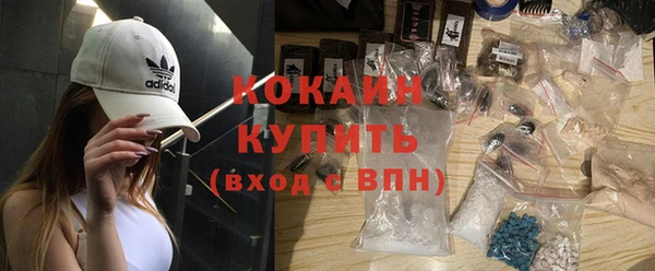прущие грибы Каменногорск