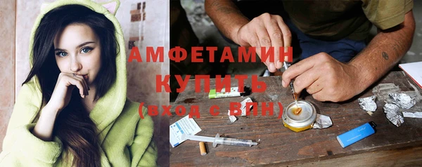 прущие грибы Каменногорск