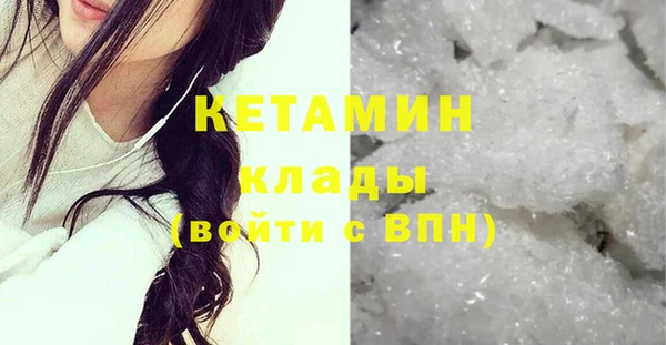 прущие грибы Каменногорск