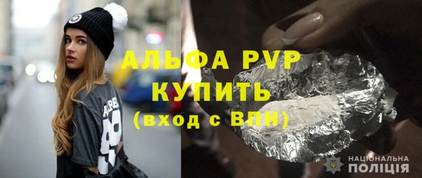 прущие грибы Каменногорск