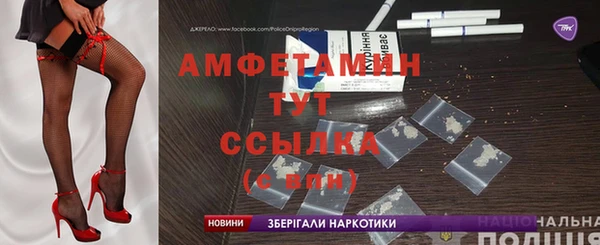 прущие грибы Каменногорск