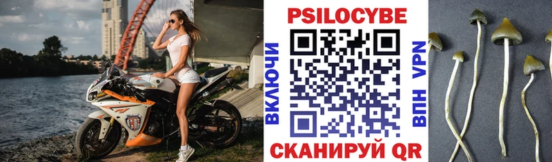 Купить где  Баймак  Псилоцибиновые грибы мицелий 